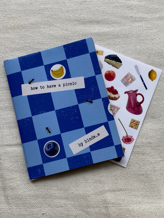 HOW TO HAVE A PICNIC ZINE